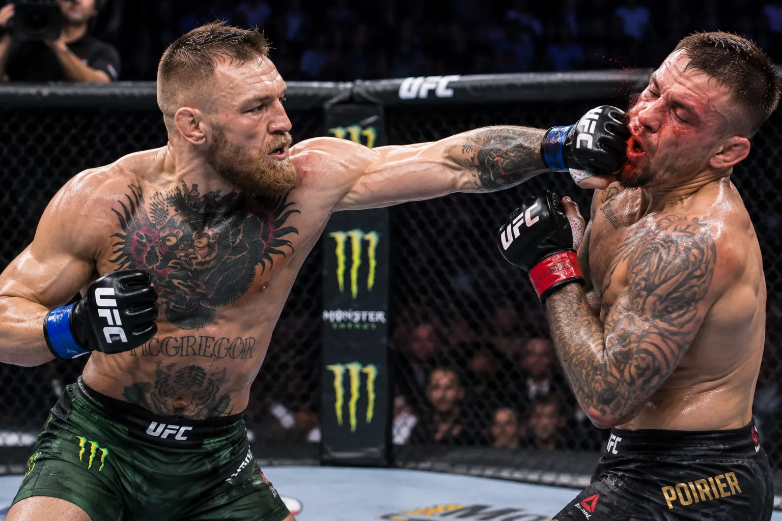 UFC / MMA